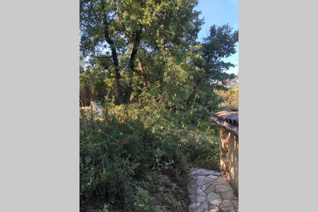 L'Escapade. Entre Aix Et Marseille, Studio Pleine Nature. Fuveau Bagian luar foto